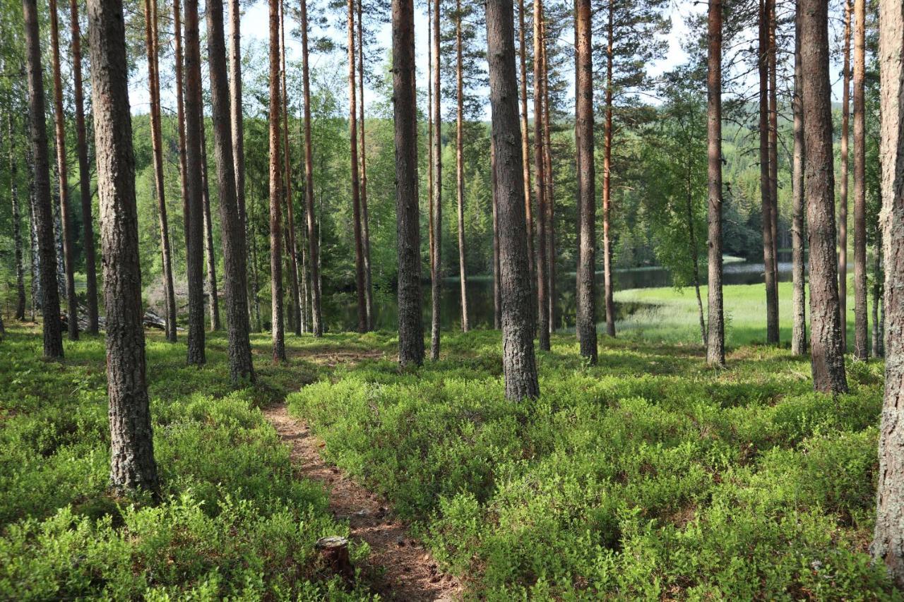 Lekvattnet 123 Villa Torsby Eksteriør bilde
